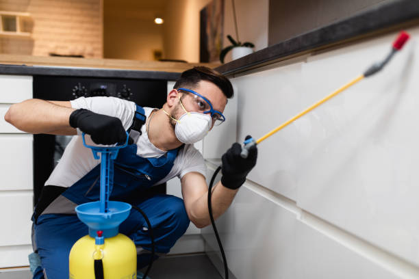 Pest Control for Restaurants in Cerro Gordo, IL