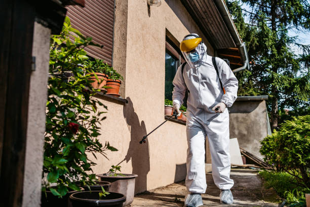 Best Commercial Pest Control Services  in Cerro Gordo, IL
