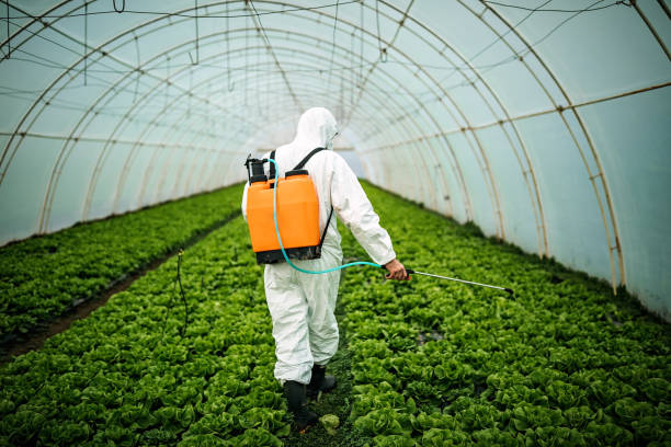 Best Residential Pest Control  in Cerro Gordo, IL
