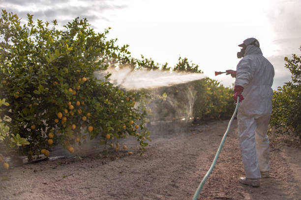 Cerro Gordo, IL Pest Control Company