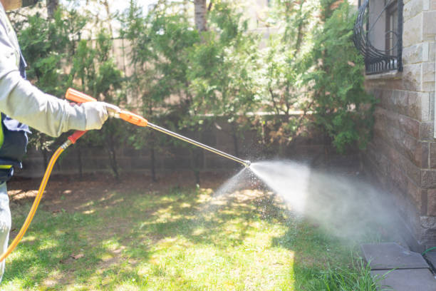 Best Flea Control Services  in Cerro Gordo, IL