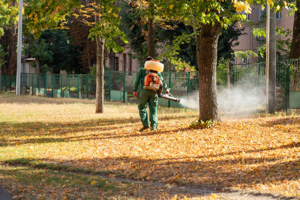 Best Emergency Pest Control  in Cerro Gordo, IL