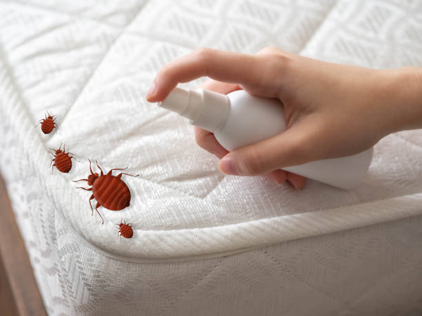 Best Emergency Pest Control  in Cerro Gordo, IL
