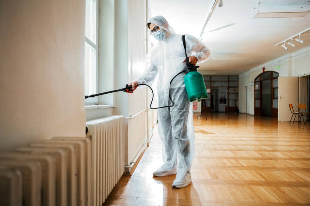 Best Bed Bug Extermination  in Cerro Gordo, IL