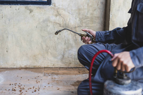 Best Mosquito Control Services  in Cerro Gordo, IL
