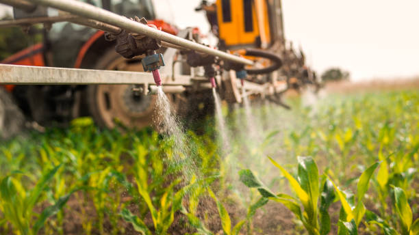 Best Affordable Pest Control Services  in Cerro Gordo, IL